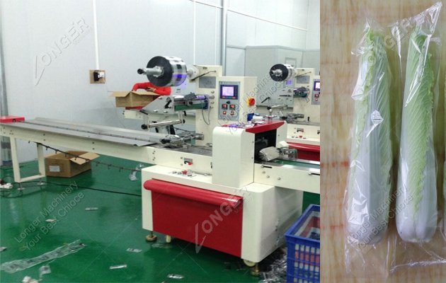 Thanks for Iran customers buying vegetable packing machine